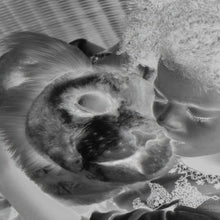 Load image into Gallery viewer, Disney The Lion King Mighty Roar Simba Interactive Plush Toy